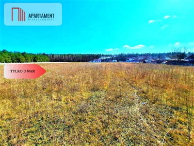 Wałdowo Królewskie 1000 m2 las cisza spokój - Wałdowo Królewskie  -
Kujawsko-Pomorskie Zdjęcie nr 2