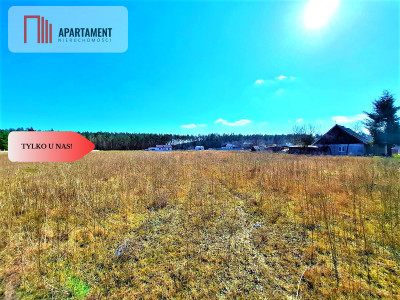 Wałdowo Królewskie 1000 m2 las cisza spokój - Wałdowo Królewskie  -
Kujawsko-Pomorskie Zdjęcie nr 3