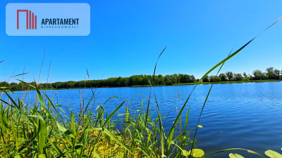 Duża działka blisko jeziora z warunkami zabudowy - Świekatowo  -
Kujawsko-Pomorskie Zdjęcie nr 12