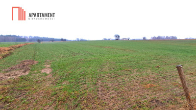 Duża działka blisko jeziora z warunkami zabudowy - Świekatowo  -
Kujawsko-Pomorskie Zdjęcie nr 2