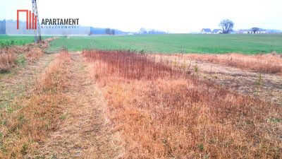 Duża działka blisko jeziora z warunkami zabudowy - Świekatowo  -
Kujawsko-Pomorskie Zdjęcie nr 4