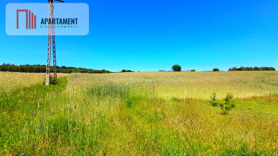 Duża działka blisko jeziora z warunkami zabudowy - Świekatowo  -
Kujawsko-Pomorskie Zdjęcie nr 8