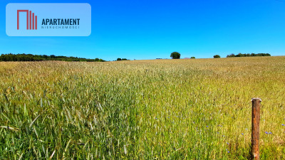 Duża działka blisko jeziora z warunkami zabudowy - Świekatowo  -
Kujawsko-Pomorskie Zdjęcie nr 9