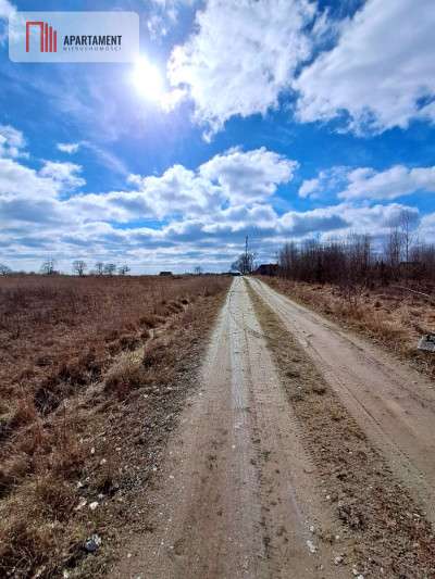 Działka budowlana z widokiem na jezioro - Chrztowo  -
Pomorskie Zdjęcie nr 10