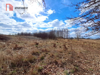 Działka budowlana z widokiem na jezioro - Chrztowo  -
Pomorskie Zdjęcie nr 8