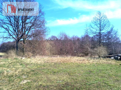 Urokliwa działka z linią brzegową rzeki Prusiny - Małe Krówno  -
Pomorskie Zdjęcie nr 4