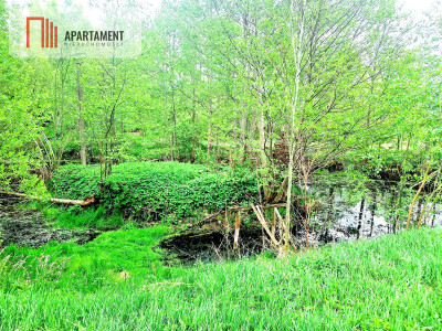 Urokliwa działka z linią brzegową rzeki Prusiny - Małe Krówno  -
Pomorskie Zdjęcie nr 7