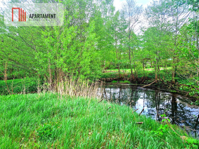 Urokliwa działka z linią brzegową rzeki Prusiny - Małe Krówno  -
Pomorskie Zdjęcie nr 8