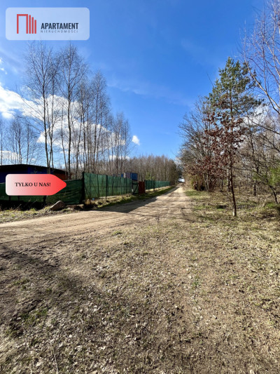 dwie działki po 1522m2 NAD JEZIOREM - Szczodrowo  -
Pomorskie Zdjęcie nr 12