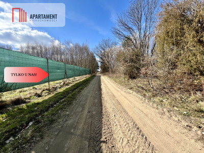 dwie działki po 1522m2 NAD JEZIOREM - Szczodrowo  -
Pomorskie Zdjęcie nr 13