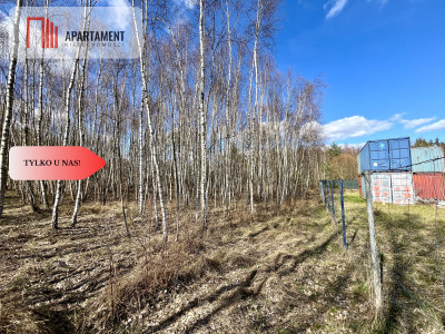 dwie działki po 1522m2 NAD JEZIOREM - Szczodrowo  -
Pomorskie Zdjęcie nr 6