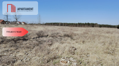 ATRAKCYJNA Cena  działka pięknym  widokiem - Szamocin  -
Wielkopolskie Zdjęcie nr 4