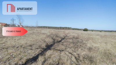 ATRAKCYJNA Cena  działka pięknym  widokiem - Szamocin  -
Wielkopolskie Zdjęcie nr 6