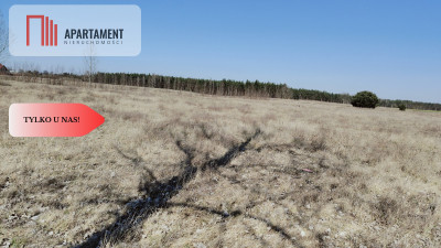 ATRAKCYJNA Cena  działka pięknym  widokiem - Szamocin  -
Wielkopolskie Zdjęcie nr 7