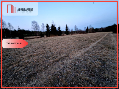 Spokojna okolica blisko lasu - Kwieki  - Pomorskie