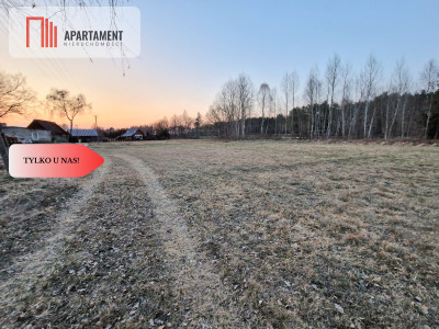 Spokojna okolica blisko lasu - Kwieki  -
Pomorskie Zdjęcie nr 3