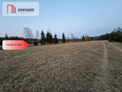 Spokojna okolica blisko lasu - Kwieki  -
Pomorskie Zdjęcie nr 4