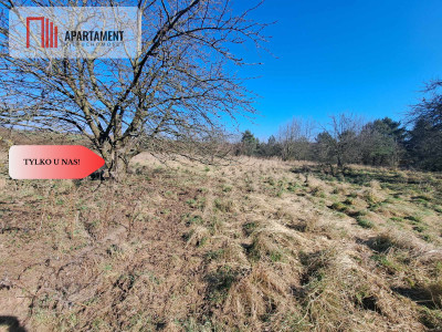 Działka budowlanampzpLubiąż - Lubiąż  - Dolnośląskie