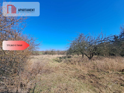 Działka budowlanampzpLubiąż - Lubiąż  -
Dolnośląskie Zdjęcie nr 2