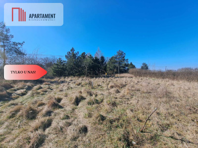 Działka budowlanampzpLubiąż - Lubiąż  -
Dolnośląskie Zdjęcie nr 4