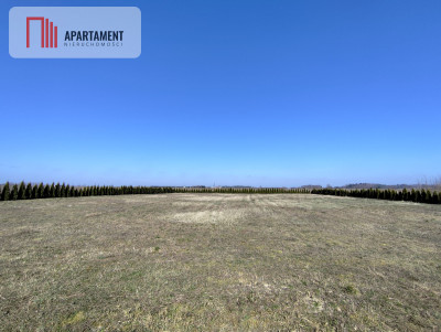 Działka z dużym potencjałem Warunki zabudowy - Wiśniewa  -
Kujawsko-Pomorskie Zdjęcie nr 4