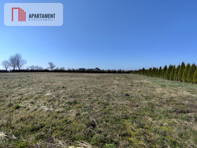 Działka z dużym potencjałem Warunki zabudowy - Wiśniewa  -
Kujawsko-Pomorskie Zdjęcie nr 6