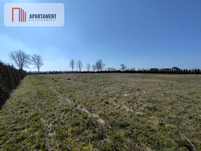 Działka z dużym potencjałem Warunki zabudowy - Wiśniewa  -
Kujawsko-Pomorskie Zdjęcie nr 7