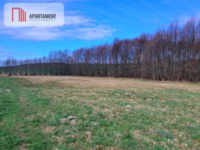 Działka rolna z widokiem na jezioro - Wielki Podleś  -
Pomorskie Zdjęcie nr 2