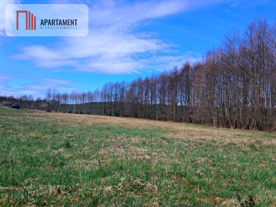 Działka rolna z widokiem na jezioro - Wielki Podleś  -
Pomorskie Zdjęcie nr 3