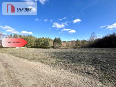 działki budowlana nad jeziorem blisko trójmiasta - Bożepole Królewskie  -
Pomorskie Zdjęcie nr 4