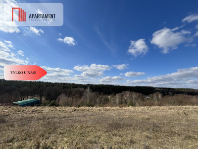 Siedlisko z WZ blisko trójmiasta - Wilcze Góry  -
Pomorskie Zdjęcie nr 8