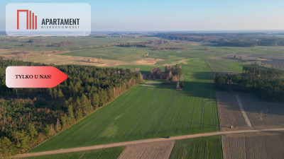 Siedlisko 59 ha pod inwestycje - Koźmin  - Pomorskie