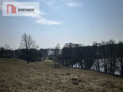 Dołgie jezioro las media DZIAŁKI - Dołgie  -
Zachodniopomorskie Zdjęcie nr 12