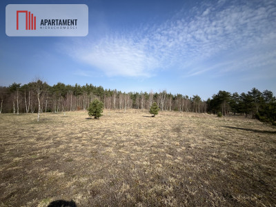 Dołgie jezioro las media DZIAŁKI - Dołgie  -
Zachodniopomorskie Zdjęcie nr 3