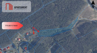 Rezerwacja - Krępki  -
Pomorskie Zdjęcie nr 2