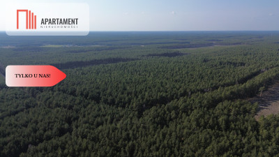 Rezerwacja - Krępki  -
Pomorskie Zdjęcie nr 3