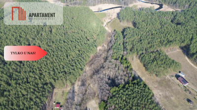 Rezerwacja - Krępki  -
Pomorskie Zdjęcie nr 4