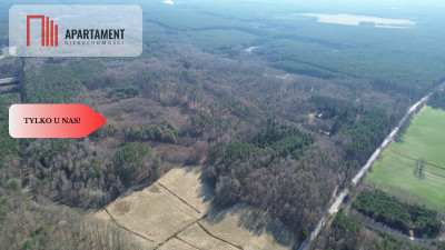 Rezerwacja - Krępki  -
Pomorskie Zdjęcie nr 6