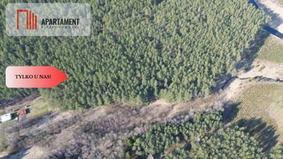 Rezerwacja - Krępki  -
Pomorskie Zdjęcie nr 8