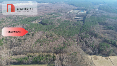 Działka budowlana  8700m2 WDA - Wda  -
Pomorskie Zdjęcie nr 5