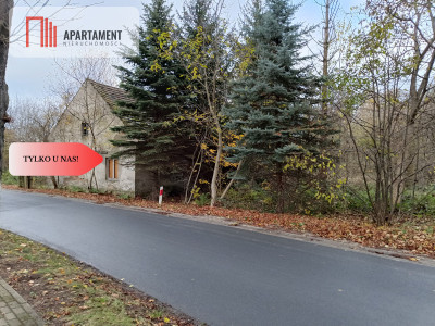 Działka  z pozwoleniem budowy domu opieki - Żerków  -
Dolnośląskie Zdjęcie nr 3