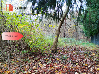 Działka  z pozwoleniem budowy domu opieki - Żerków  -
Dolnośląskie Zdjęcie nr 5