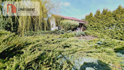 Piękna działka ROD Borówka Niedaleko jeziora - Nekla  -
Kujawsko-Pomorskie Zdjęcie nr 10