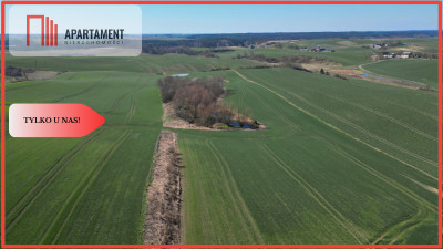 siedlisko koło Gniewu nowa cena - Gniew  - Pomorskie