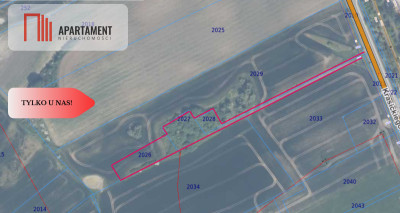 siedlisko koło Gniewu nowa cena - Gniew  -
Pomorskie Zdjęcie nr 3