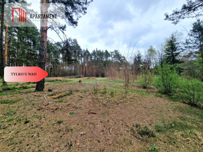 Działki z linią brzegową jeziora pod Toruniem - Osiek Nad Wisłą  -
Kujawsko-Pomorskie Zdjęcie nr 10