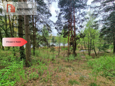 Działki z linią brzegową jeziora pod Toruniem - Osiek Nad Wisłą  -
Kujawsko-Pomorskie Zdjęcie nr 11