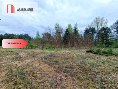 Działki z linią brzegową jeziora pod Toruniem - Osiek Nad Wisłą  -
Kujawsko-Pomorskie Zdjęcie nr 12