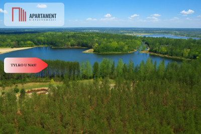 Działki z linią brzegową jeziora pod Toruniem - Osiek Nad Wisłą  -
Kujawsko-Pomorskie Zdjęcie nr 5