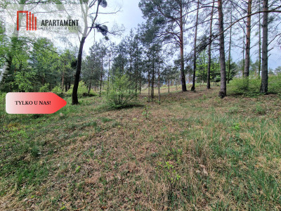 Działki z linią brzegową jeziora pod Toruniem - Osiek Nad Wisłą  -
Kujawsko-Pomorskie Zdjęcie nr 7